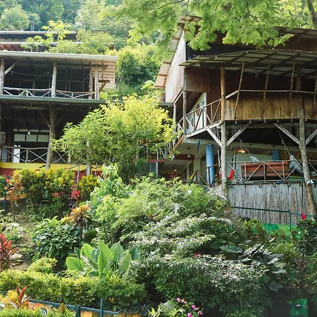 Hostel Plinio-2